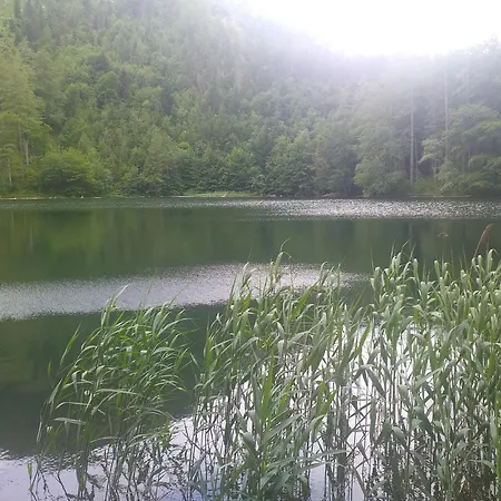 Waldhof Koppl
