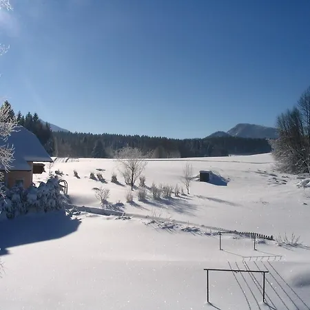 Waldhof Penzion Koppl