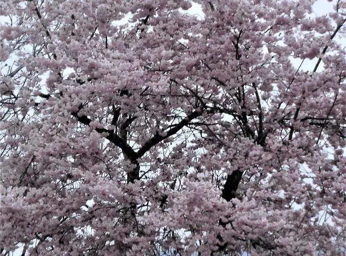 Waldhof بيت ضيافة Koppl